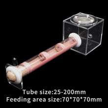 Load image into Gallery viewer, DIY Ecological Ant Farm Bamboo Tube Nest with Feeding area Various Size Ant House for Workshop Pet Anthill Ant Nest With Bracket