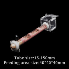 Load image into Gallery viewer, DIY Ecological Ant Farm Bamboo Tube Nest with Feeding area Various Size Ant House for Workshop Pet Anthill Ant Nest With Bracket
