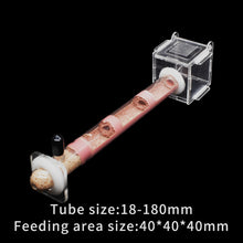 Load image into Gallery viewer, DIY Ecological Ant Farm Bamboo Tube Nest with Feeding area Various Size Ant House for Workshop Pet Anthill Ant Nest With Bracket

